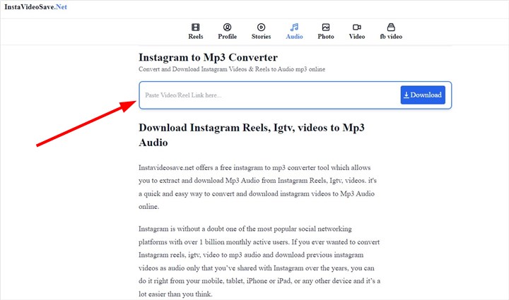 Download Instagram Reels Audio Online - 1
