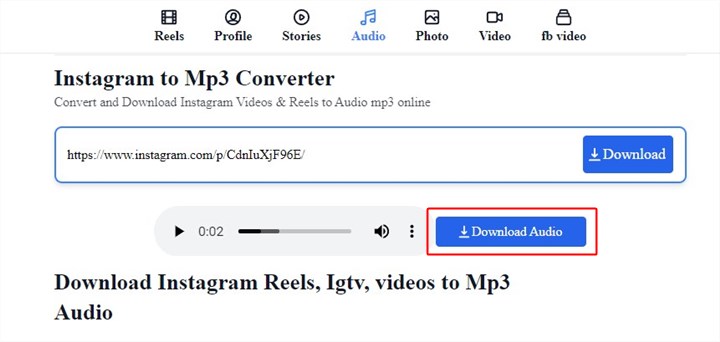 Download Instagram Reels Audio Online - 2