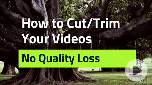 Best Video Cutter